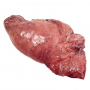 Producteur Poumon de bœuf congelé(e)