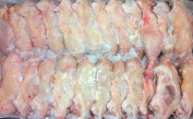 Fournisseur et producteur Cuisse de poulet Halal